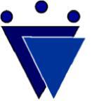 Strategic Solutions Group